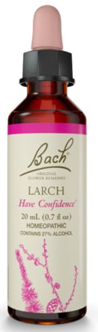 Bach Larch Ανθοΐαμα Λάριξ No19, 20ml