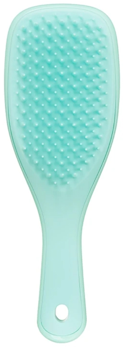 Tangle Teezer The Mini Travel Size Wet Detangler Mint, 1 Τεμάχιο