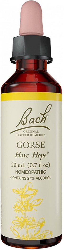 Bach Gorse - Ανθοΐαμα Ράχος No13, 20ml