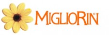 Migliorin